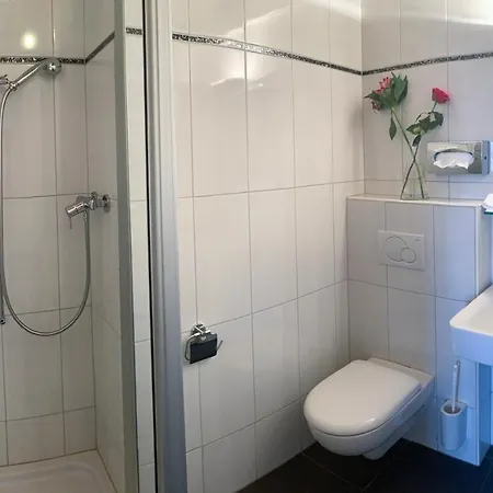 Отель Swiss La Couronne 3*