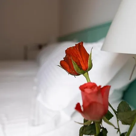 Swiss La Couronne Аванш