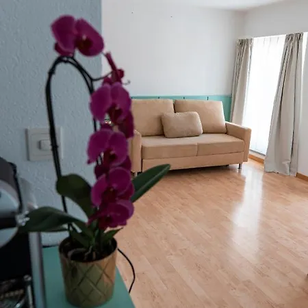 Swiss La Couronne Hotel 3*